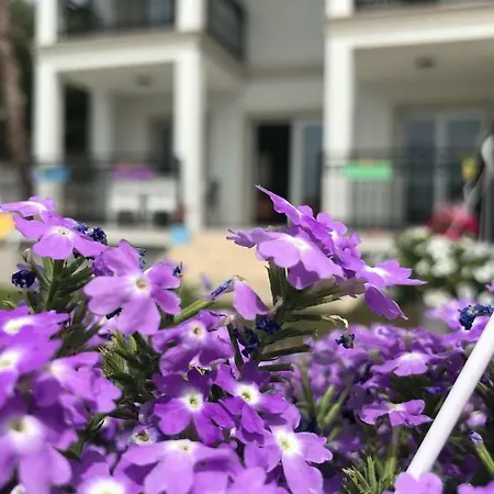 Villa Oeluedeniz Ovacık